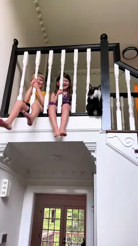 When my cat forget he’s a cat…#cat #catsoftiktok #funnycat #funnyvideos #funnytiktok #fyp #foryou #tiktok 