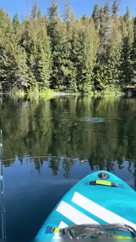 Another amazing fail#funnyvideos#usa🇺🇸#fyp