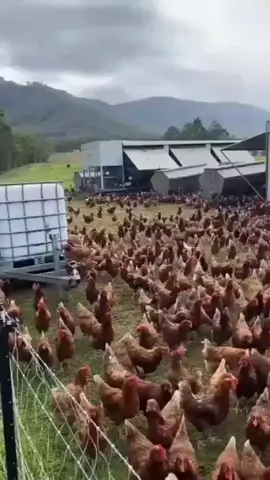#FYP #goviral #fypシ゚ 