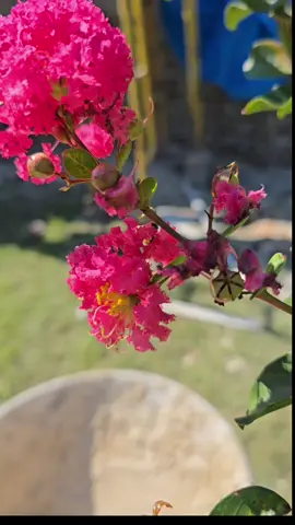 #nature 