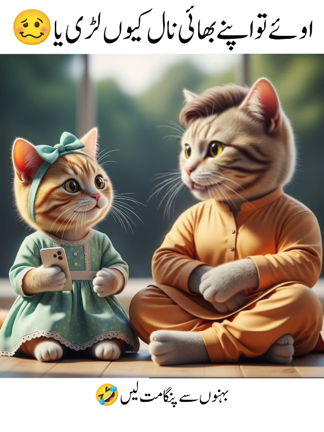 please tiktok team don't under review my video@ᒪᗩᎥᗷᗩᗯᖇᎥ丅ᗴᔕ🥰 @TiktokPakistanOfficial @zofiaa0314  #viral #funny #catvideo #fyp #foryou 