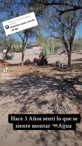 #onthisday #paratiiiiiiiiiiiiiiiiiiiiiiiiiiiiiii #rancho#slp#toro  pura diversión 🤣😂arriba SLP 🌵💯♥️