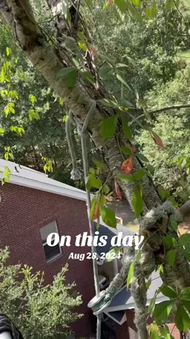 #onthisday 