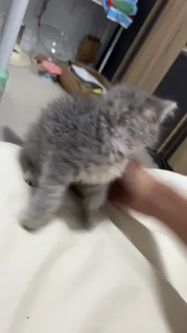 อัพเดทลูกบักบุญธรรม