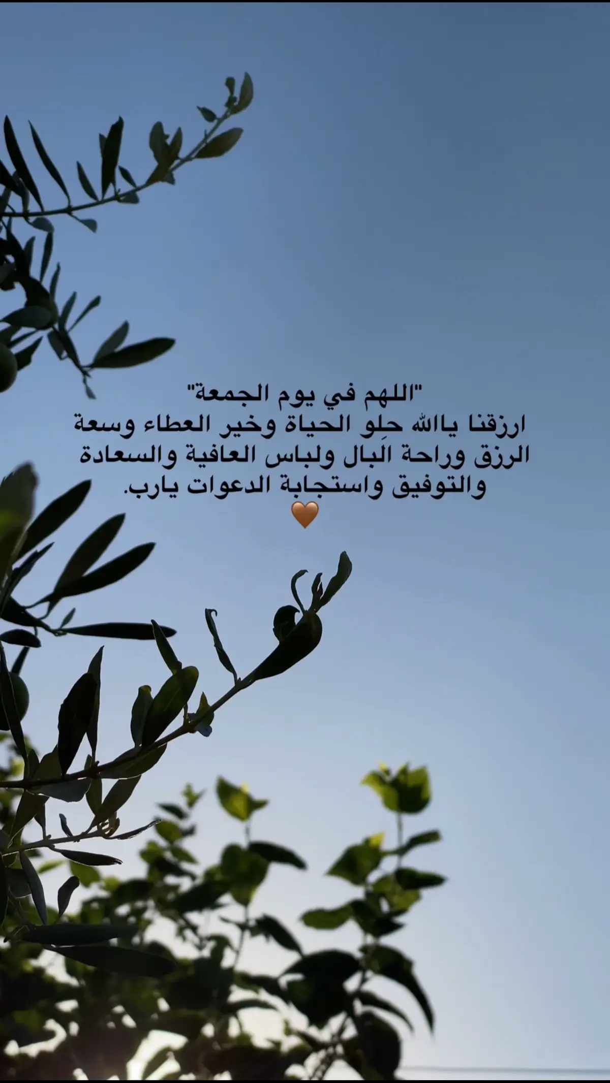 #اللهم_امين #یارب_العالمیــــــــــن🤲🏻🥺 