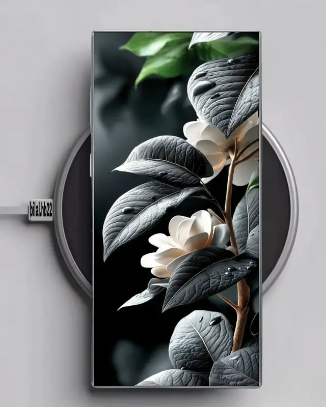 #wallpapers #highquality #wallpaper #خلفيات #creatorsearchinsights 