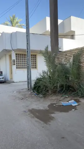 : Mədrəsəyə ğəzəle yek nəfər du dinar 🥲