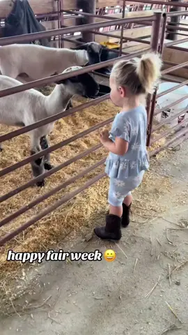Funny children and sheep🤣🤣#sheep #funny #foryou #fyp 