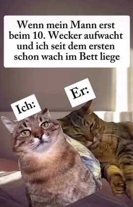 #fürdichpage #fyp #viralllllll #fürdich #lasstesviralegehen 