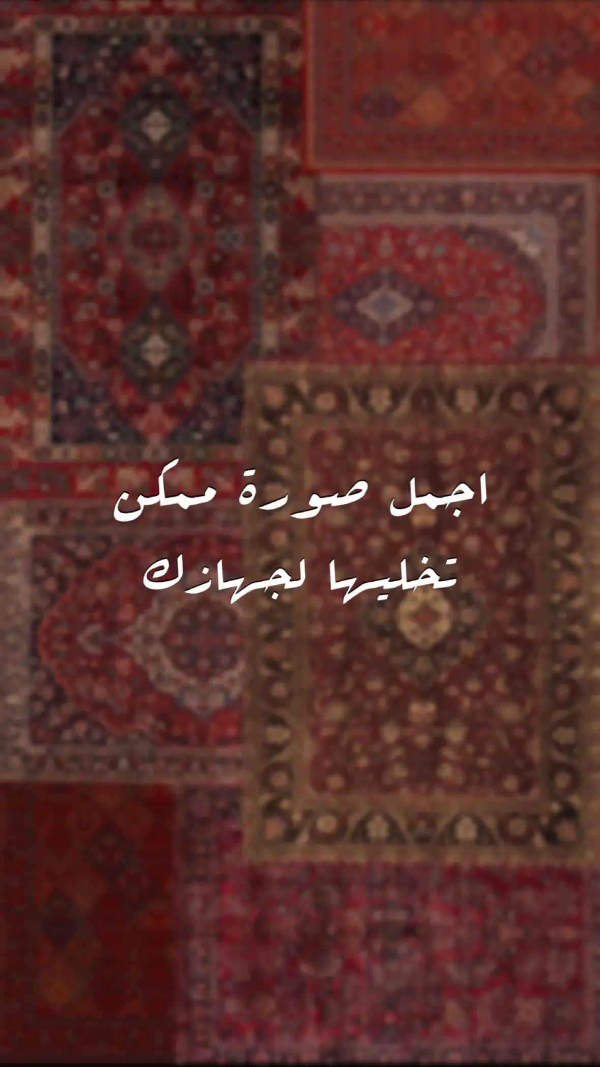 #فاقد_الموسوي #سيد_فاقد #خلفيات #كربلاء_مدينة_العشق_والعاشقين #s2zxa 
