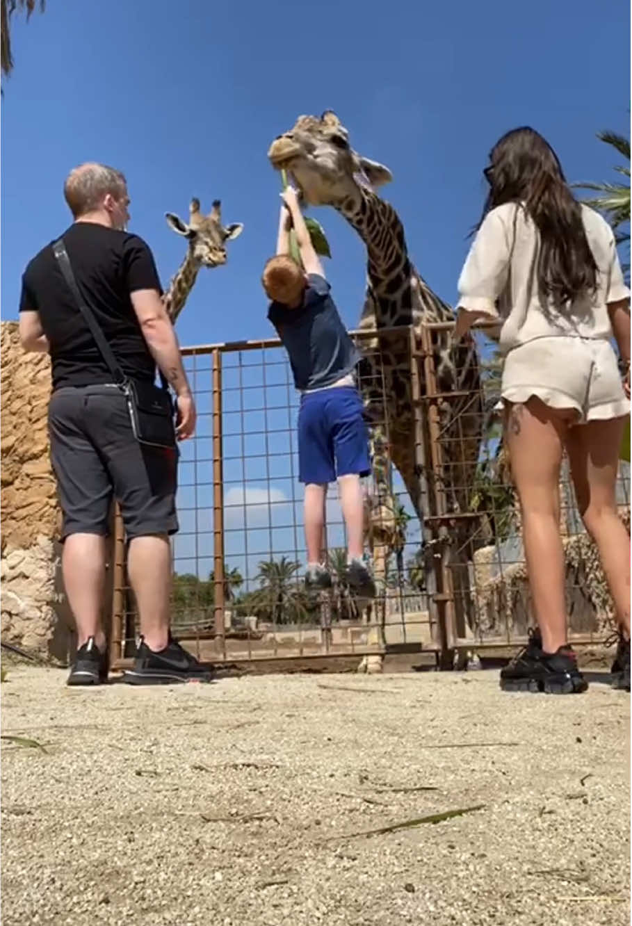 Kid’s funny moments at the zoo 🤣#funny #foryou #baby #kids #funnykids #viral 