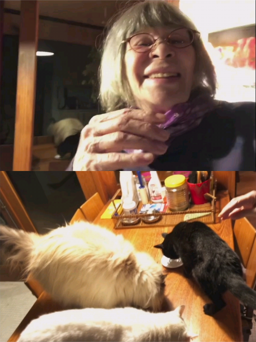 Rita Lee e seus bichinhos, em um momento fofo no documentário 