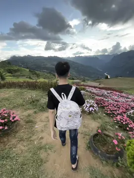 #thaonguyensuoithau #hagiang #xuhuong #fyp #xuhuong 