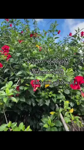 ဘာ trend ဖြစ်”မ joinနိုင်ဘူး#fpyシ #foryoupage #နိုးကပ်ပရှင် #viral #fyppppppppppppppppppppppp 