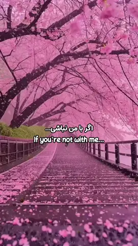 #afghani #آهنگ_افغانی #آهنگ_ایرانی #آهنگ_جدید 