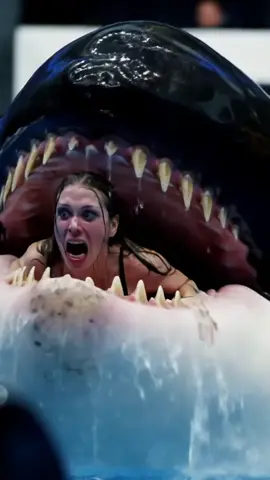 Jessica orca Original video Viral Video viral content #Uk #USA #orca #dolphins 