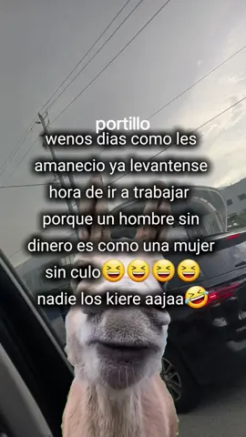 #CapCut #Meme #viraltiktok #humortiktok🤣😜😅😂🤪 #parati 