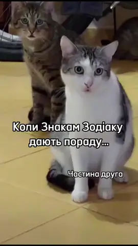 #знакизодіаку♋♑♌♍♈♓ 