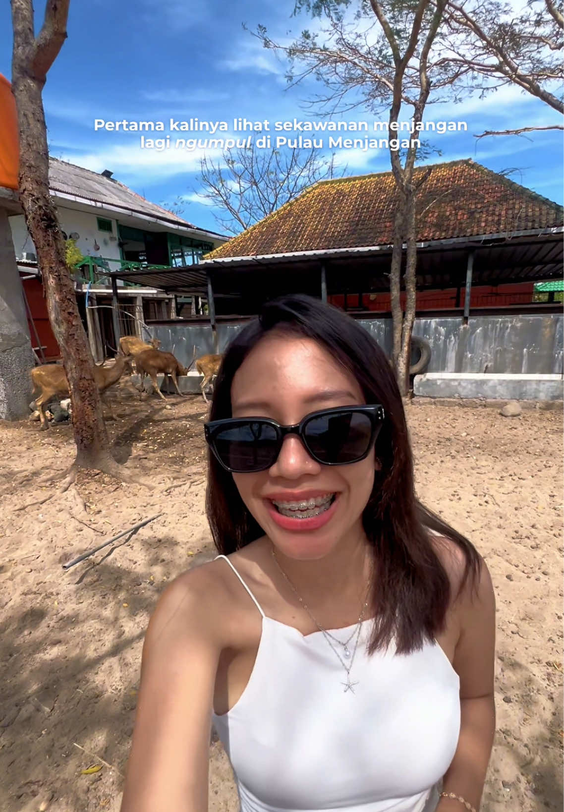 Biasanya cuma ketemu beberapa menjangan aja, tapi ini pas lagi hoki banget ketemu segerombolan gini di Pulau Menjangan😍 #menjanganisland #pulaumenjangan #menjanganbali #menjangantrip #opentripmenjangan 