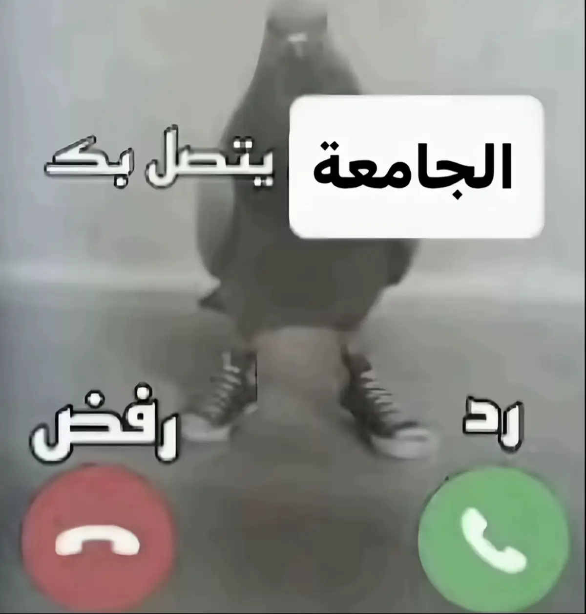 #fyp #foryou #ايمامو_افضل_جامعه_بالعالم 