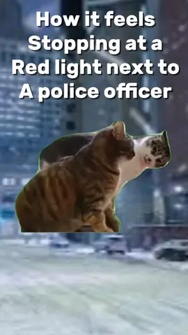 #CapCut 