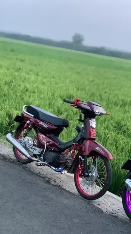 tengu style ta Iki😫#pekingkaji #astreathailandstyle🇹🇭 #astreaw9style #astreagrandindonesia #fyp 