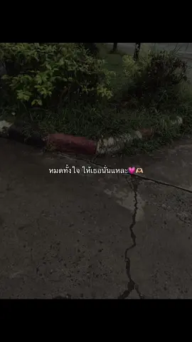 ให้เธอคนเดียวว🩷💗🫶🏻🩷#ยืมลงสตอรี่ได้ #fyp 