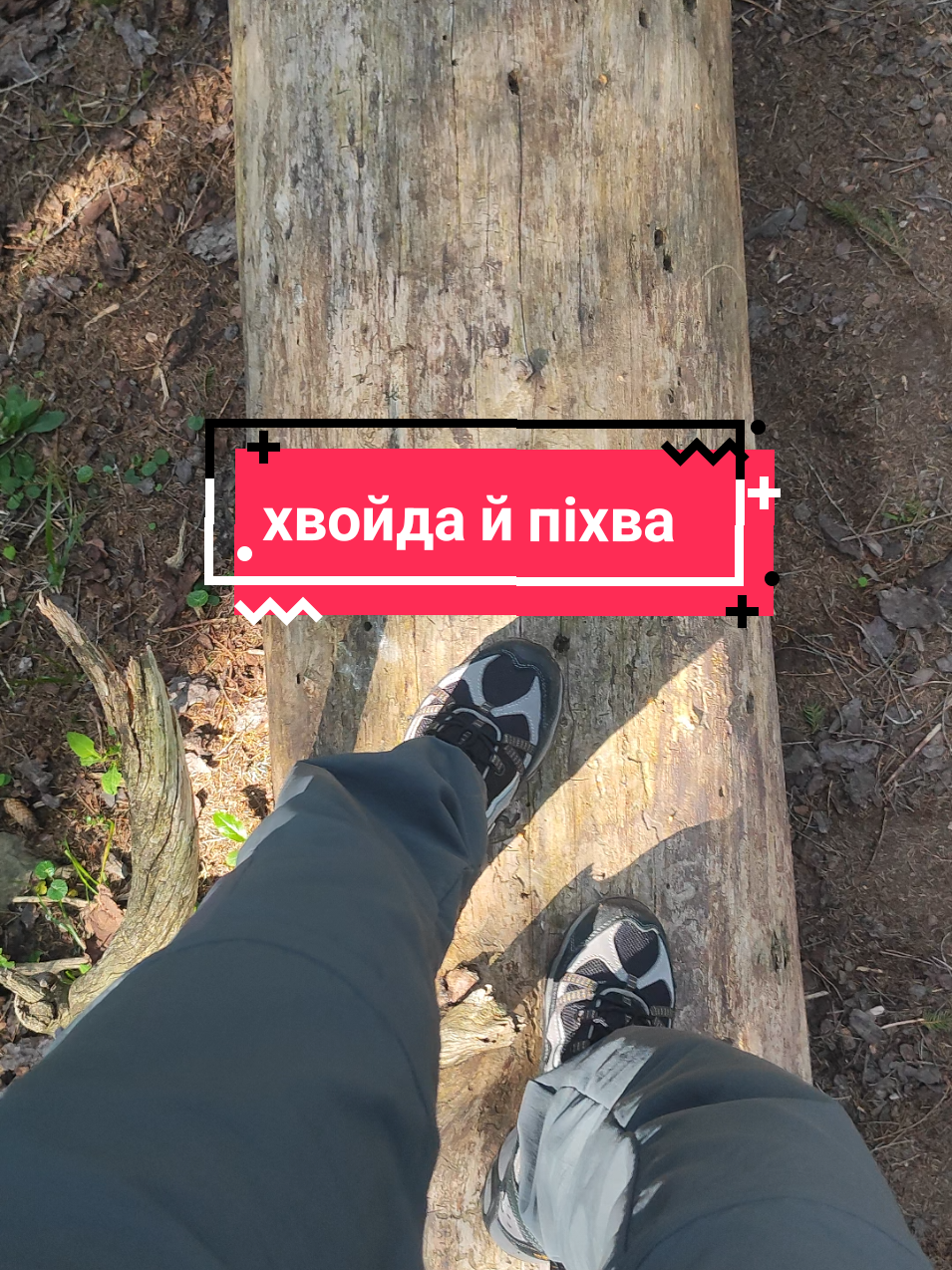 . . . #карпати #outdoor #Hiking #mountain #мовнепитання 