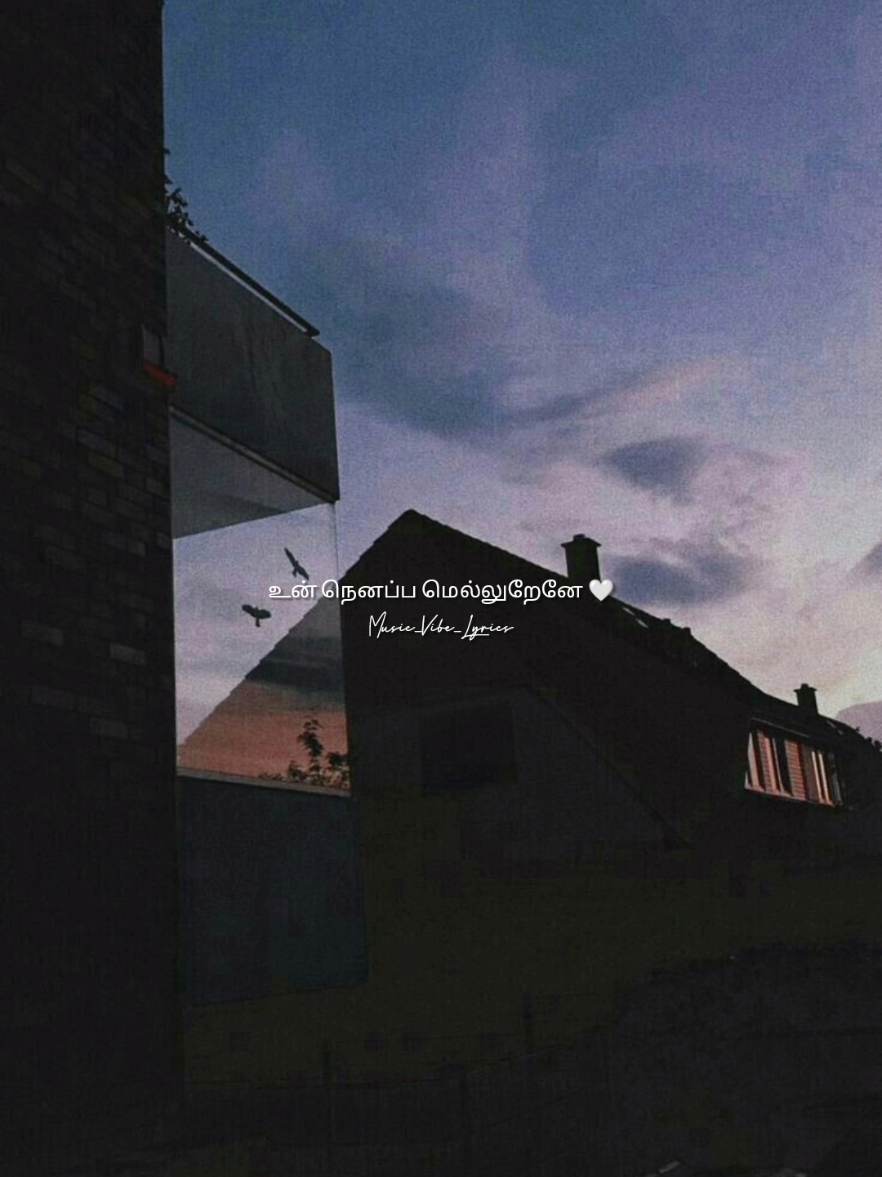 Thangamey 🤍✨ #thangamey #tamilsong #musicvibeslyrics #tiktok #18m 