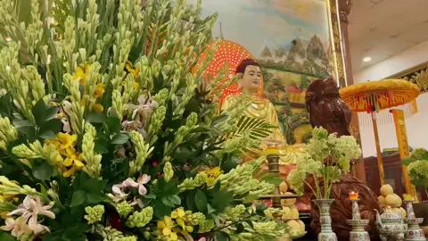 #suhuongdichua #anchaymoingay #phatphapnhiemmau 