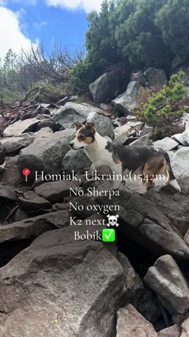 Успішна експедиція🏆 #mountain #travel 