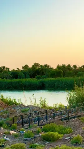 #تصويري #باسم_الكربلائي 