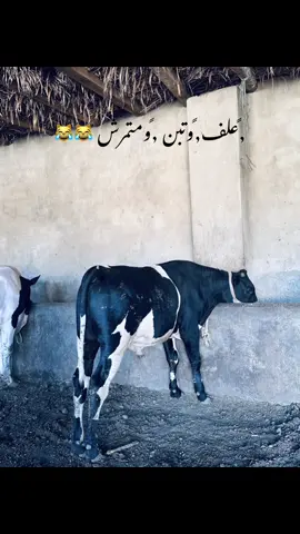 #,ًالمعللم🤍