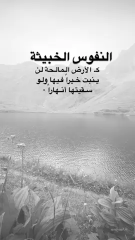 #اقتباسات من الحياة، النفوس الخبيثة كالأرض المالحة لن تنبت خيرا ولو سقيتها انهاراً#كلمات_من_القلب #اكسبلورexplore #saasa88 #fypシ 