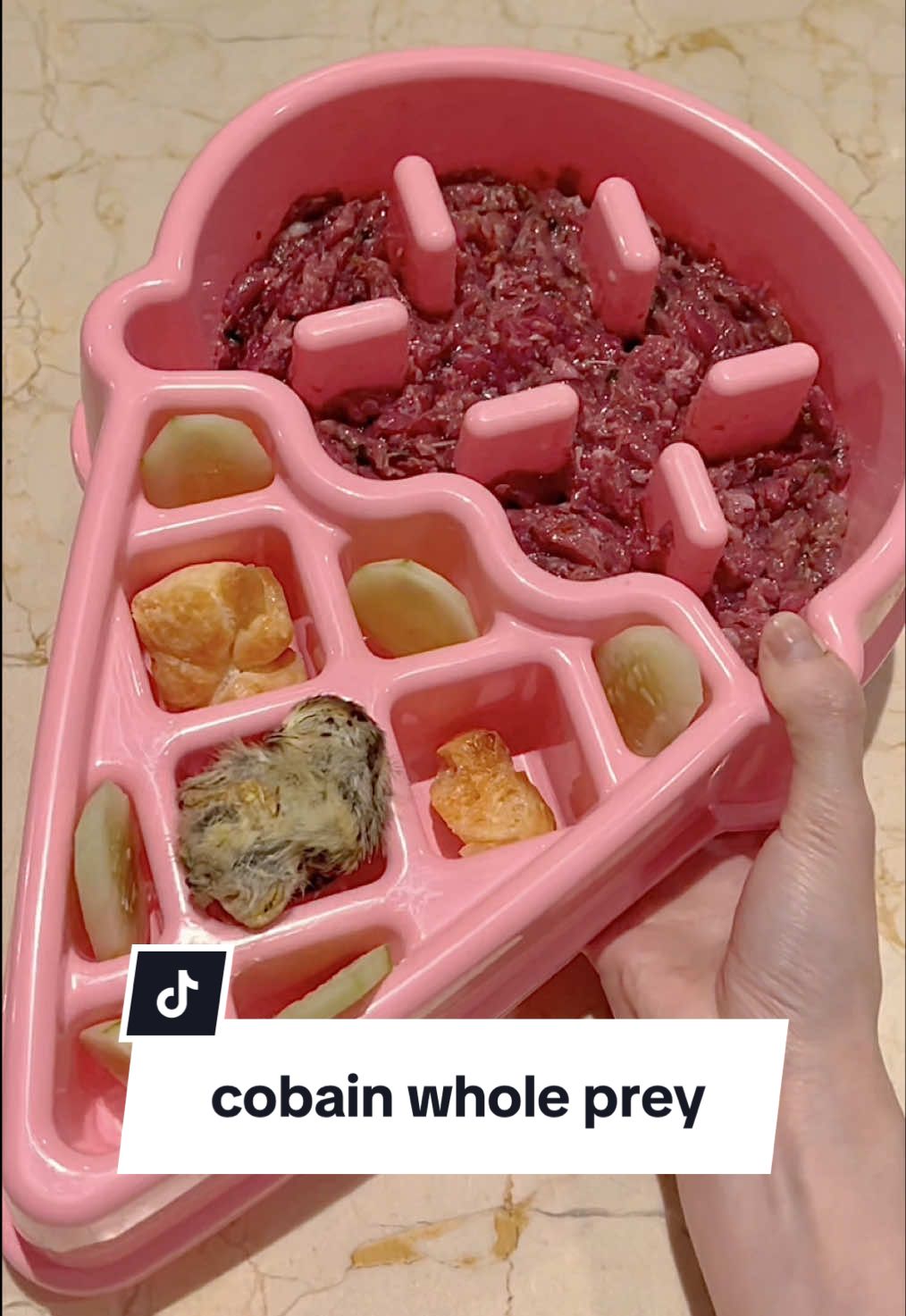 Cemilan whole prey seperti freeze-dried baby quail ini memang keliatan menyeramkan karena masih berbentuk kepala atau bagian tubuh hewan 🐣 Tapiii, sebenarnya ini alami untuk anjing! Bahkan, tekstur dan bentuknya membantu memenuhi insting mengunyah sekaligus menyehatkan gigi, tapi awasi anabul kamu saat konsumsi agar tidak tersedak ya!