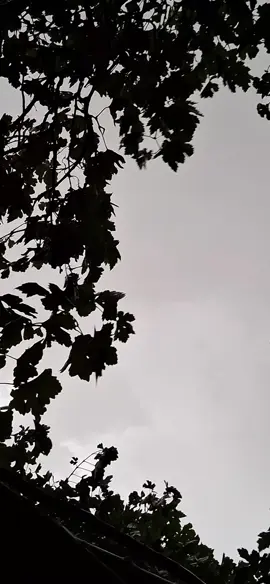 ##rain 