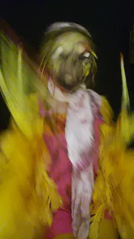 #demourninbirdie 