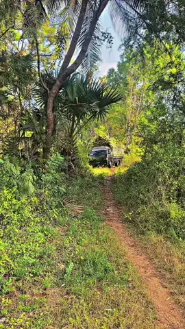Daun atas🍃#fyp #fypage #l300_pickup #madura #bolabale 