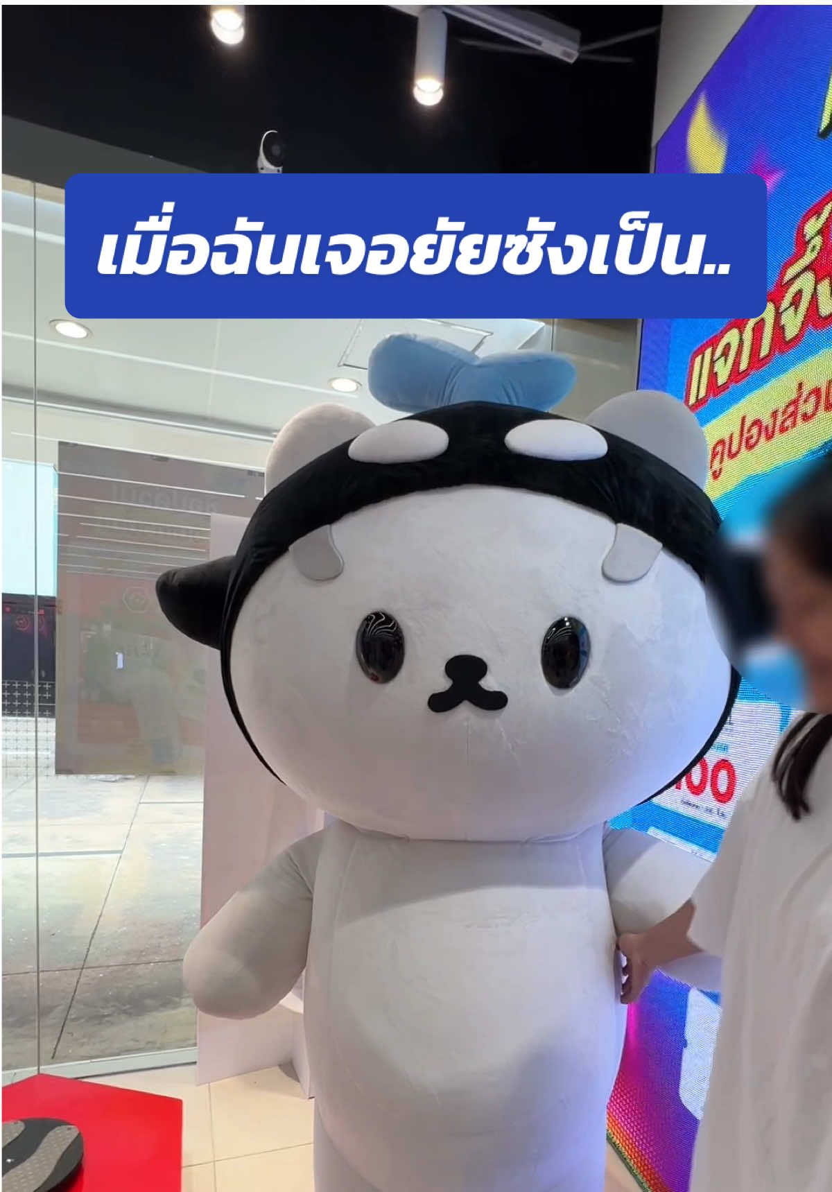 ยัยซังงงงง 🥹 #ออฟฟิศจิตเวช #officejittavaj #polcasan #โพก้าของเตนิว #เตนิว 