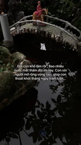 …#tamtrang #story 
