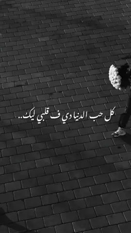 #كل_حب_الدنيا_فقلبي_ليك #حركة_إكسبلور #fly #🖤 