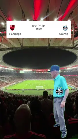 #flamengo #flaxgre #paravocê  #Meme #CapCut 