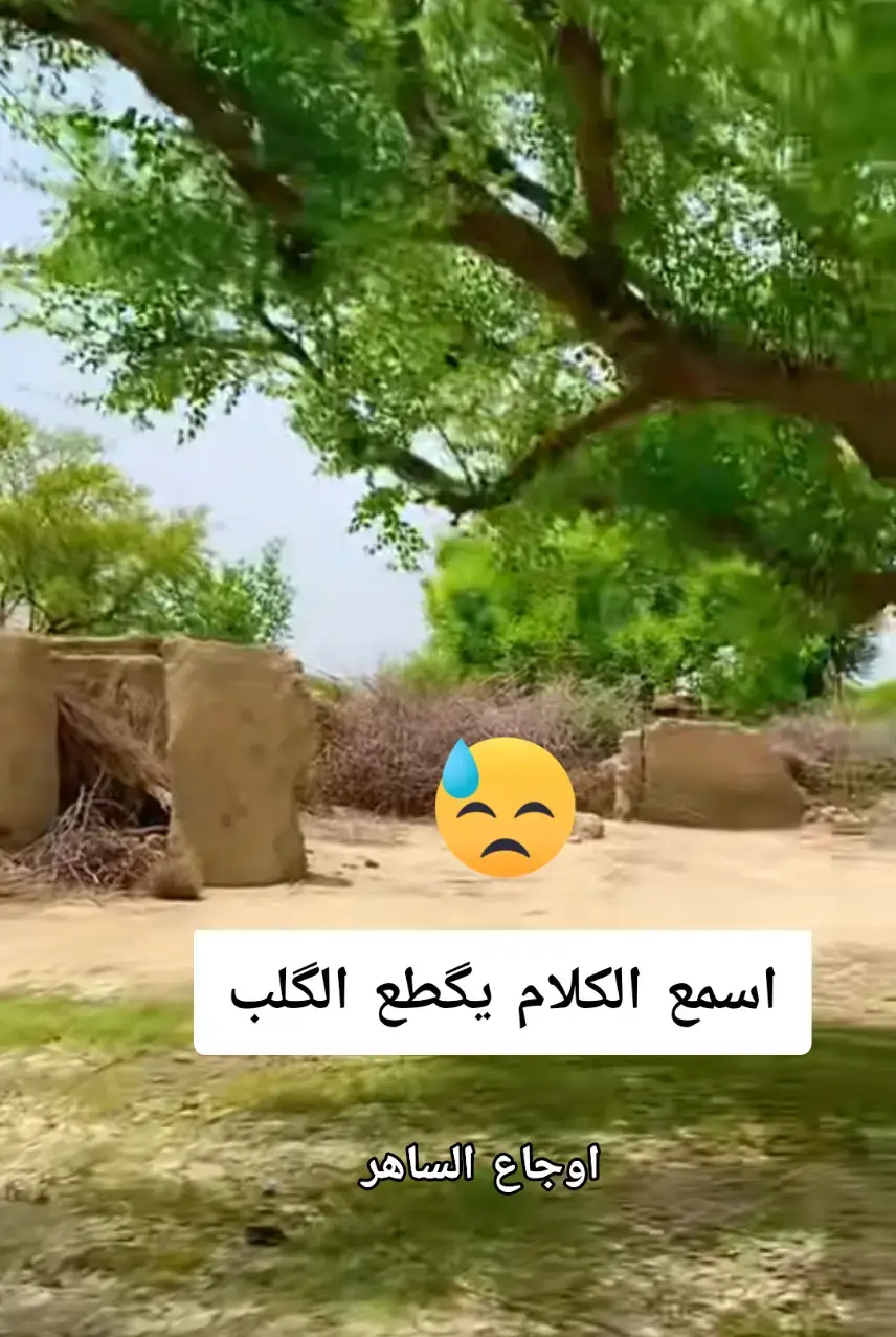 #InspirationByWords  #شعراء_وذواقين_الشعر_الشعبي🎸  #الحزن💔عنواني💔ــہہہــــــــــہہـ👈⚰️  #ونين_يقطع_نياط_القلب_بصوت_جنوبي_حزين #الفاقد_عزيز_الله_يعينة  كلمات شاعر فصيح بطريقه سهله مؤثره في القلوب ااااااااااااااااه من جرح الزمان