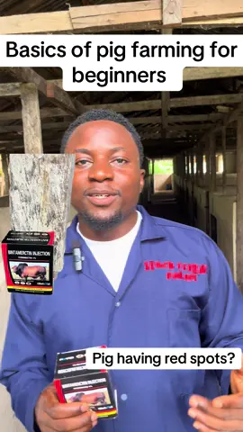 Red spots in body of pigs? Use invermectin#youthinagriculture #sustainablefarming #naijafarmers #PigFarming 