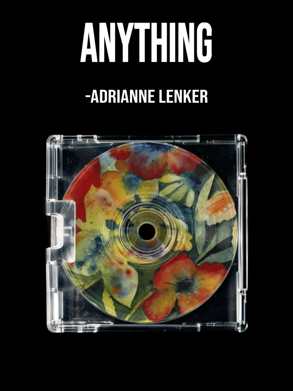 Anything - Adrianne Lenker #anything #zaiiriclyrics #lyrics #foryou #foryoupage 