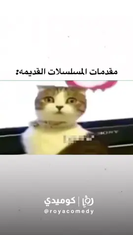 😂😂😂😂😂😂😂😂😂😂