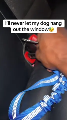 #petsafety #carsafetyleash #dogsafety #PetsOfTikTok 