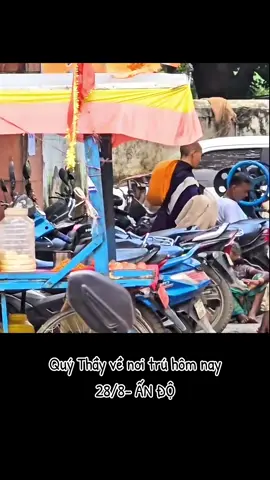 🥰🥰🥰 #MasterMinhTue  #Thayminhtue  #suminhtuemoinhat  #tuetran 