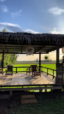 แดดดีมาก🌤️🍃 #เถียงนาน้อย #136bar #ธรรมชาติ #ทุ่งนา 