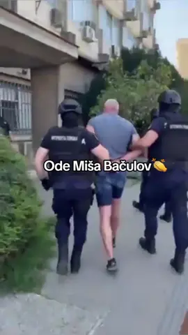 E tako, bravo za ovo. #srbija #video #viral #fyp #